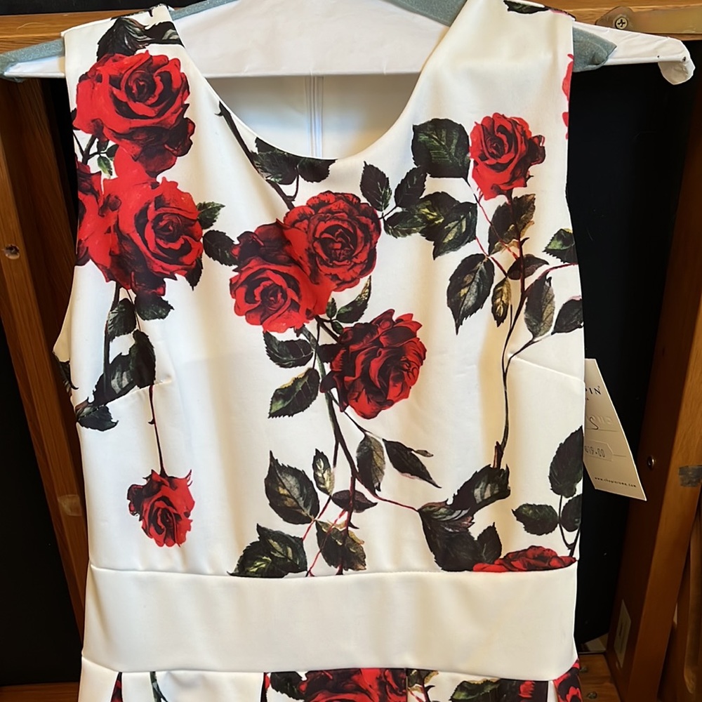 White Dress with Red & Pink Roses & Green Stems, Knee Length
